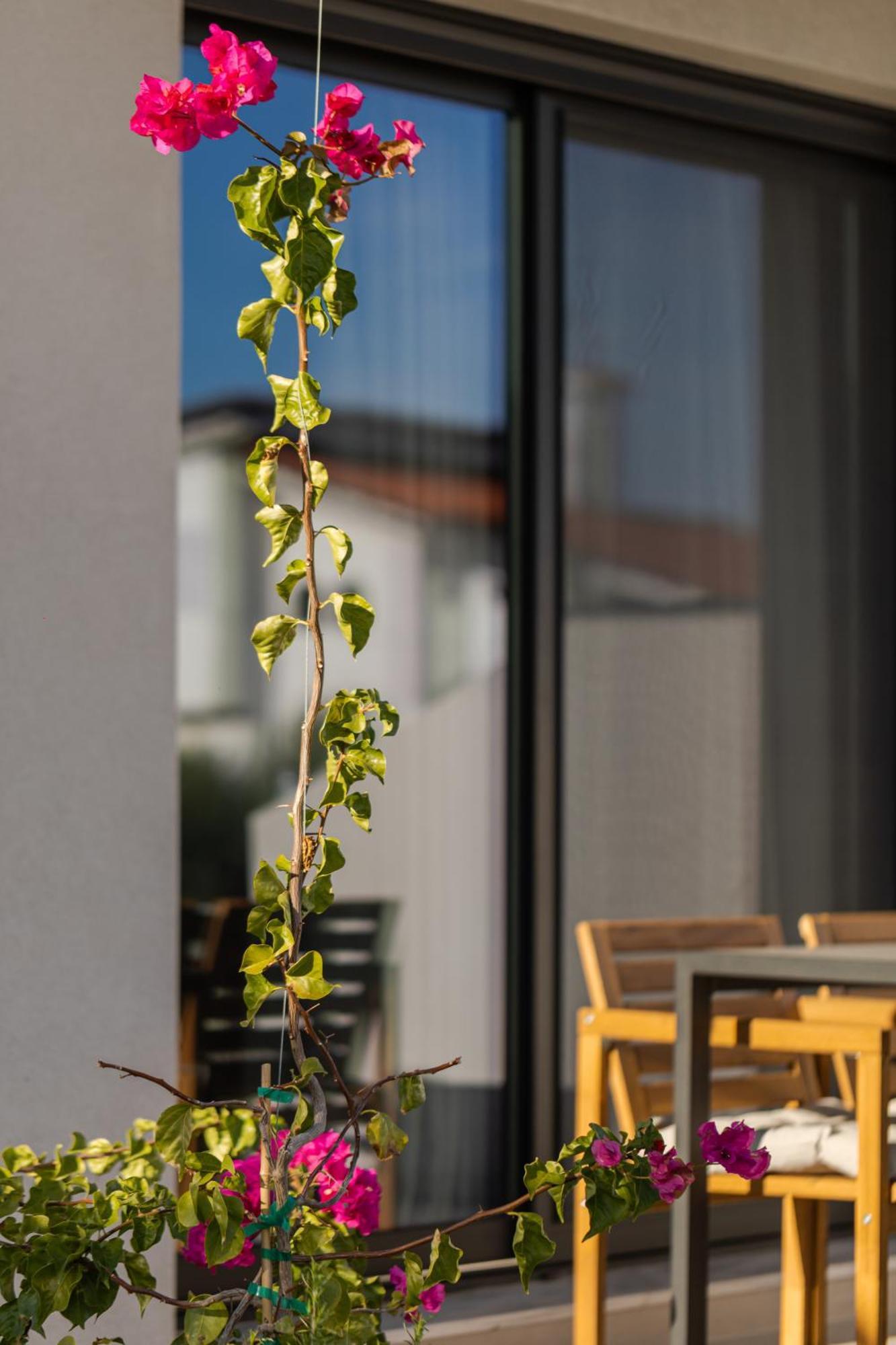 Apartment The 8 *